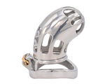 Stainless Steel - 100 (Small)